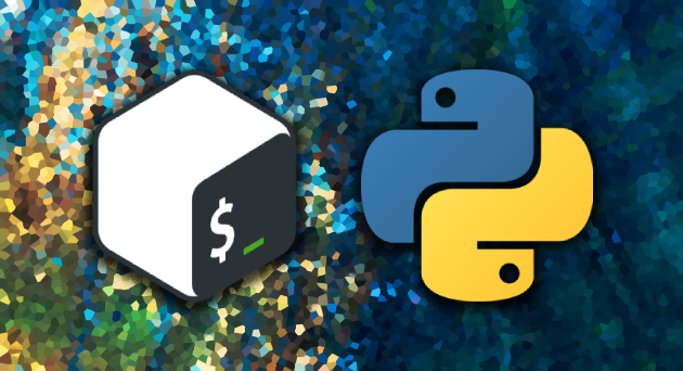 Essential tips for scripting in Bash and Python | by Brandon Duffany ...