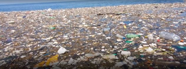 Vaping is Helping to Save the Oceans | by Ashley Wilson | Medium