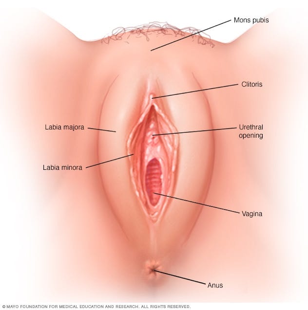 Prevention & Treatment of Vaginal Yeast Infections, by Sommer Naturales