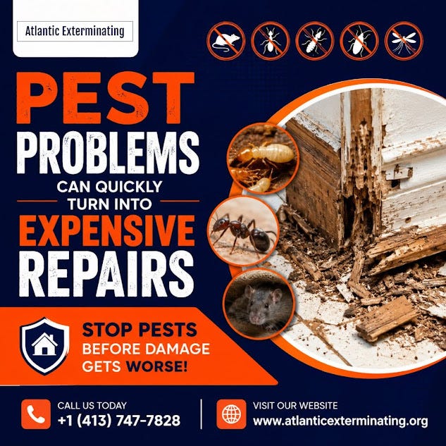 Franklin Hornets Control Professionals: Protecting Your Property from Dangerous Stinging Pests