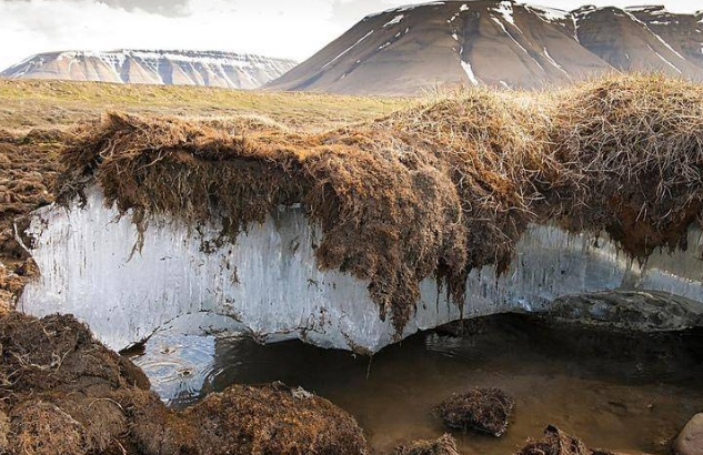 The temperature in the Arctic continues to rise, prehistoric remains ...