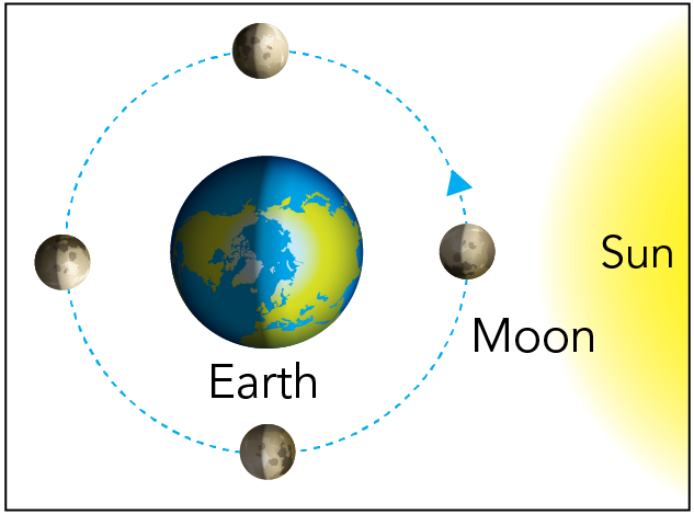 The Universe’s Design and Our Existence: A Reflection on God’s Wisdom ...