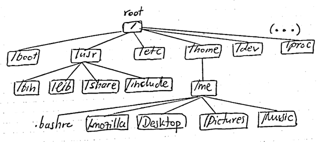 Linux tree. Briefly analyzing Linux tree structure | by Alejandro ...