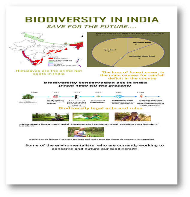 Infographics for the scientific community | by Sujatha Raghu | Medium