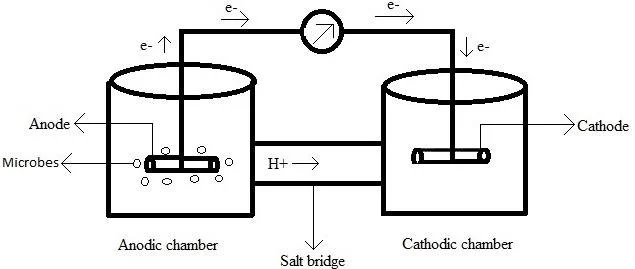 Schematic diagram of a microbial fuel cell (Aswin et al., 2017).