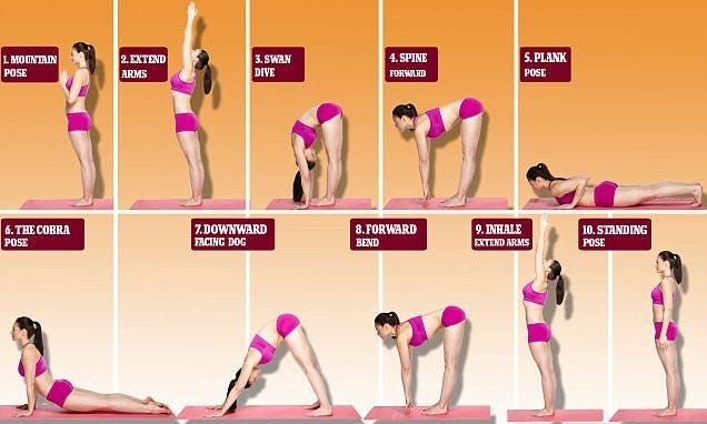 Yoga-Pilates: A Unique Blend of Two Classic Disciplines, Showing 100  Classic Poses in Over 300 Easy-to-Follow Step-by-Step Photographs