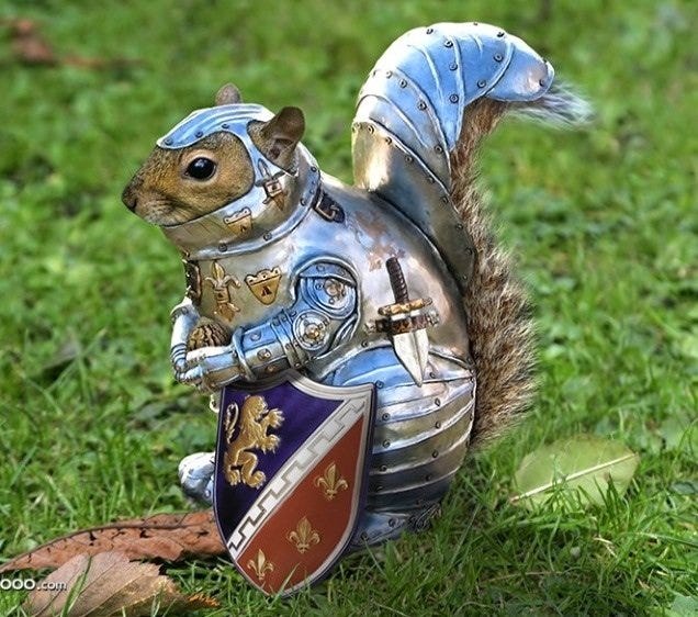 Squirrel Memes, and Other Ways to Get People to Care | by Artemis Ward |  Artemis Ward | Medium