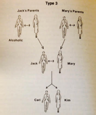 Adult Children of Alcoholics Syndrome by Wayne Kritsberg: 9780553272796 |  : Books