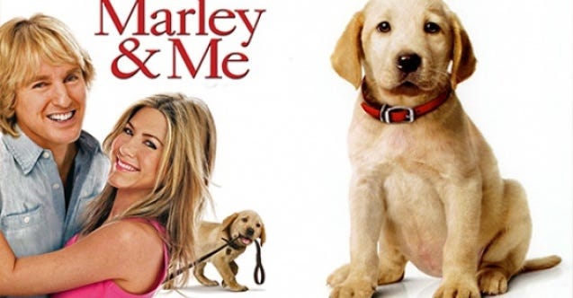 Marley&Me. Marley & Me is a… | by Büşra Adıvar | Medium
