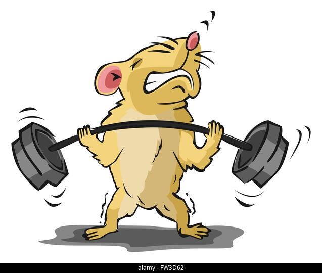 Dear (Future) GymRats,. I have been hitting the gym regularly… by