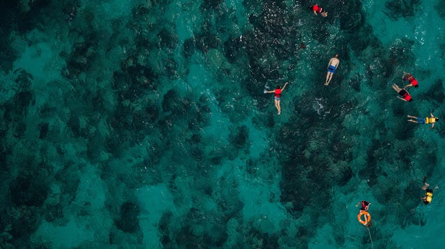 Best Time to Visit the Maldives for Snorkeling