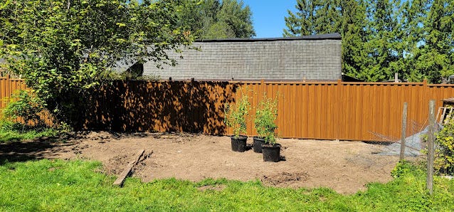 5 Reasons Why Black Metal Fencing is the Best Choice for Your Home | by ...