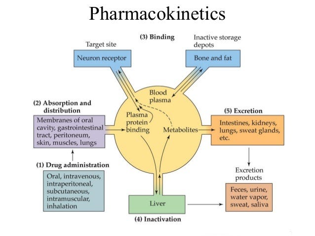 gabapentin pharmacokinetics dogs
