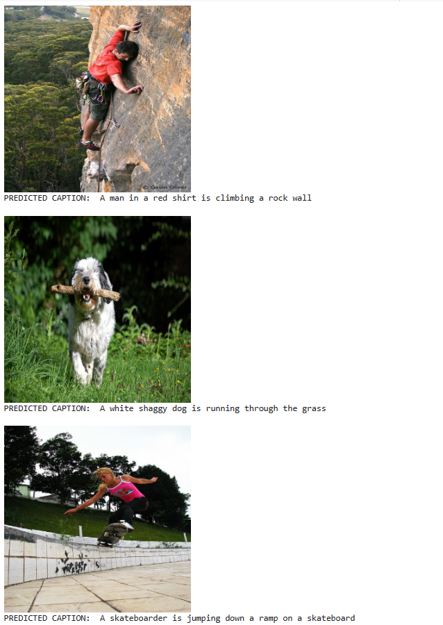 Predicted captions for random images: Image Captioning mode.