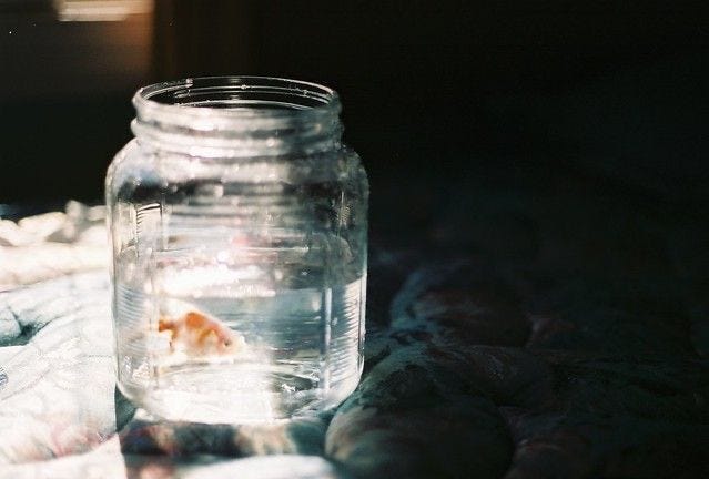 Image from Pinterest