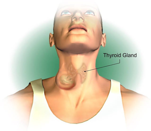 thyroid-cancer-3-types-by-anusree-chandra-aug-2023-medium