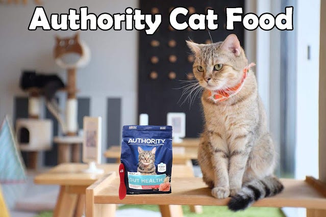 Authority cheap cat food
