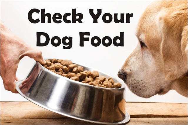 Feeding Chart For Dogs: A Complete Guide