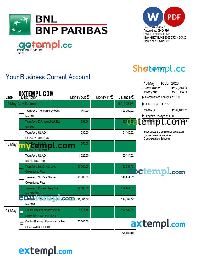 BNL Bank enterprise statement Word and PDF template download template