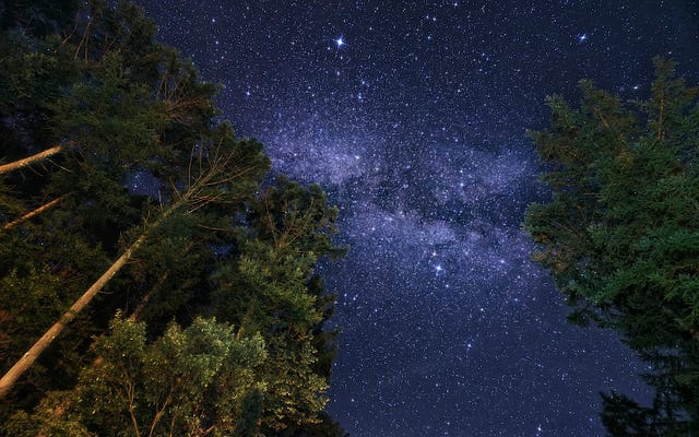 credit: https://unsplash.com/