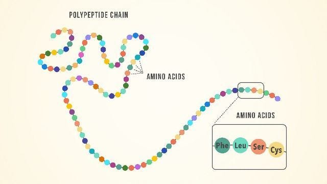 The Deadly Protein That Breaks The Brain