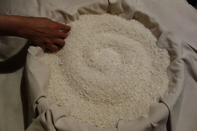 Japanese art of fermentation: learning how to make koji for brewing ...