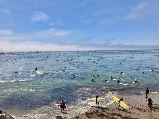 Best Places For Surfing in Santa Cruz by FetchmyVR Medium