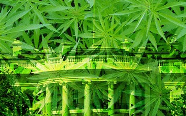 What Do Republicans Think About Marijuana By Expeal Inc Medium