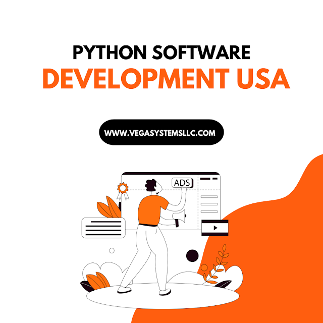 Can we create custom software using python | by Vegasystemsusa | Medium