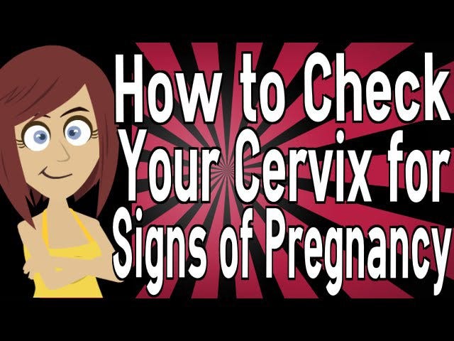 how-to-check-your-cervix-for-signs-of-pregnancy-by-dorothy-harris