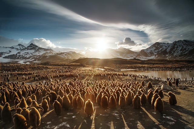 Photo by Ian Parker on Unsplash