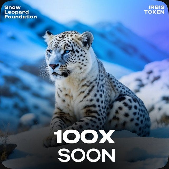 IRBIS. IRBIS | by Sembarang Barang | Feb, 2024 | Medium