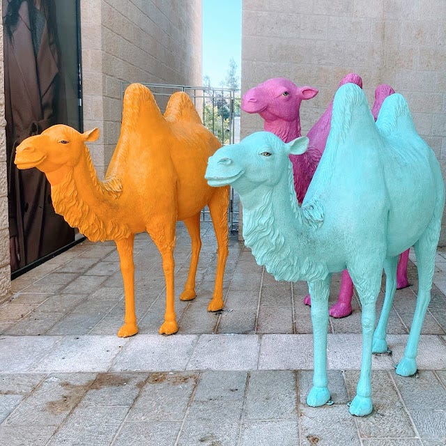 Sally The Camel Has Two Humps