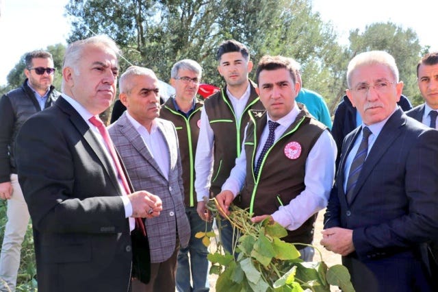 Yerli ve Milli Çeşitler Hayvancılığa da Katkı Sağlıyor