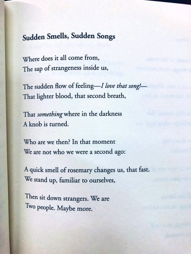 Several short sentences. I was sent Several Short Sentences… by C J