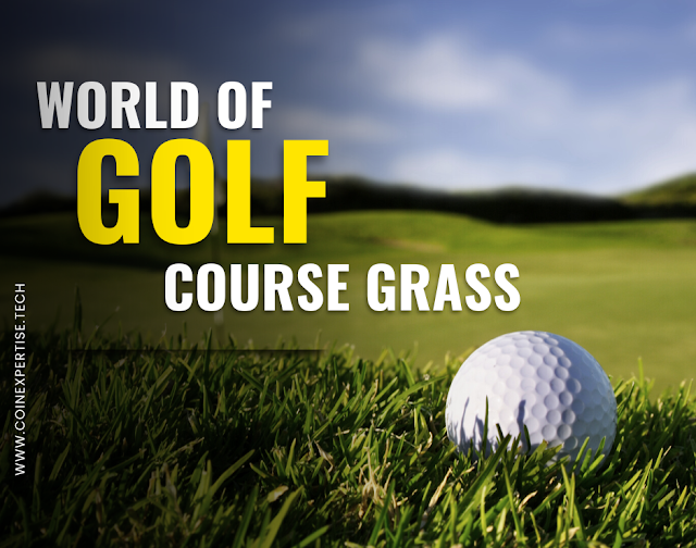Explore the World of Golf Course Grass 6 Varieties That Define the
