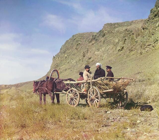 At work on the upper reaches of the Syr-Darya. Golodnaia Steppe.
