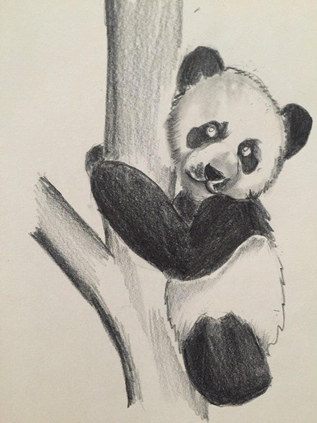 How to Draw Amazing Panda, Kawaii