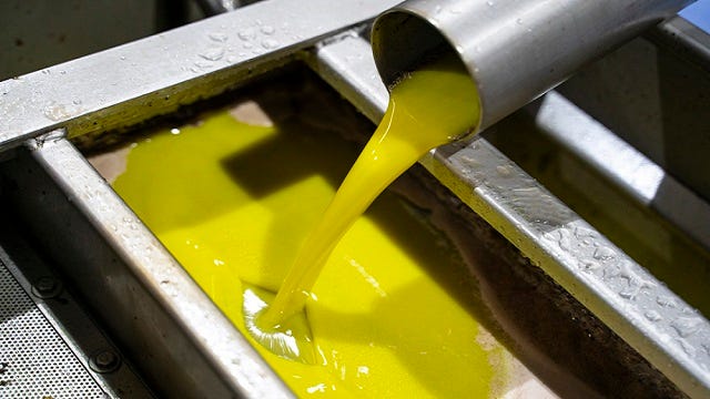 how_olive_oil_is_made_img