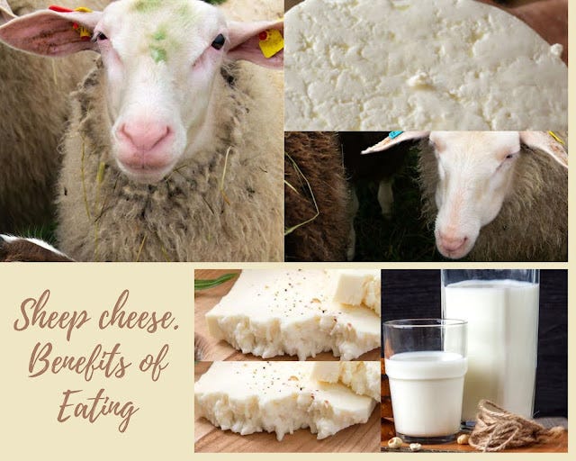 Sheep Cheese. Benefits of Eating. Benefits of Eating Sheep Cheese… by Jamescurley Medium