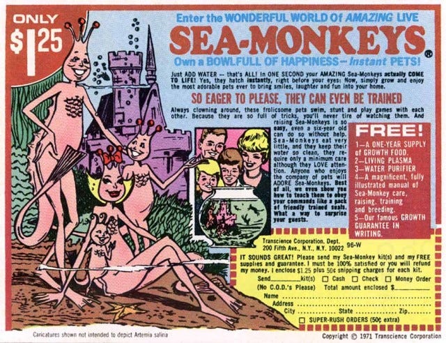 What are sea-monkeys, how long do they live, are they real?, Weird News
