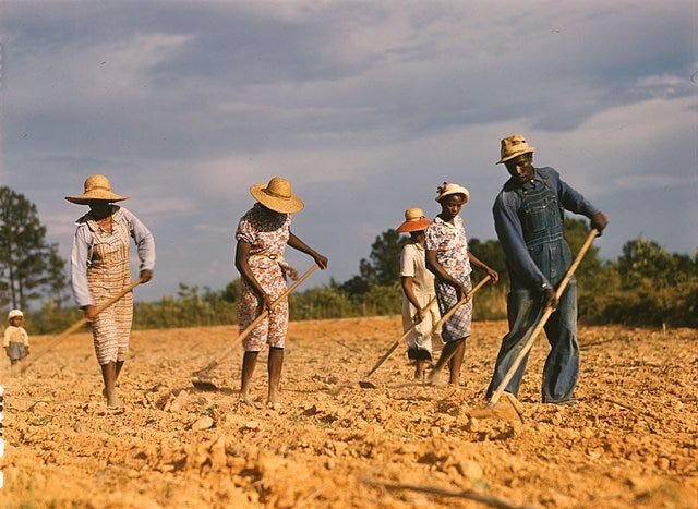Freedom Farmers: Agriculture as Acts of Resistance
