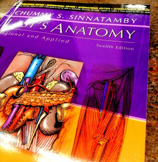 The best books on human anatomy for artists