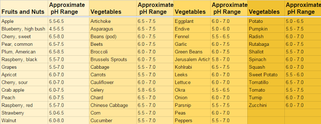 What is the Ph of Wood Ash? Uncover Its Secrets!