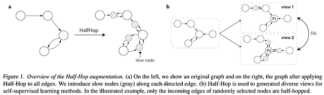 来源：Azabou等人