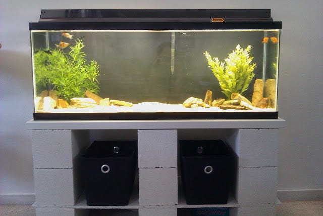 DIY Cinder Block Aquarium Stand. Think about this: a 55-gallon