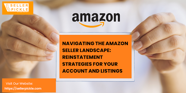 Navigating the Amazon Seller Landscape: Reinstatem