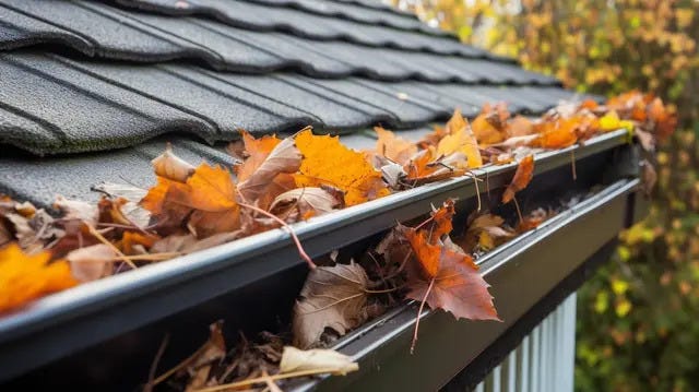 Affordable Gutter Cleaners in Leichhardt for Residential Homes