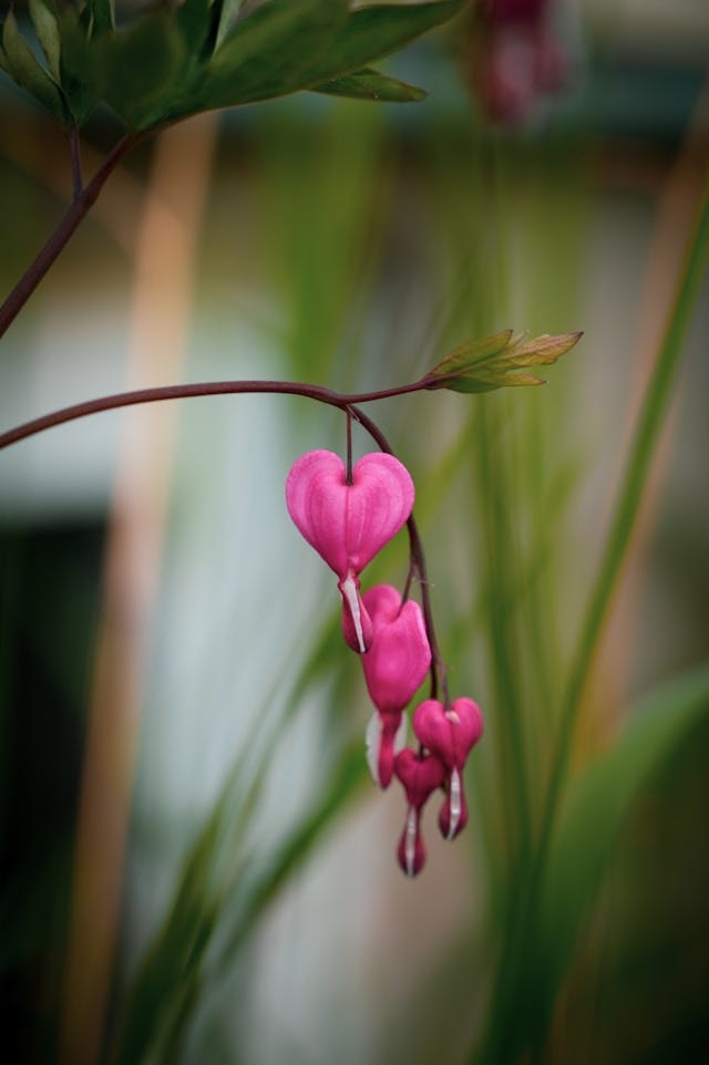 Small Kindnesses. Little Shifts for Big Results | by Debra Emerson ...