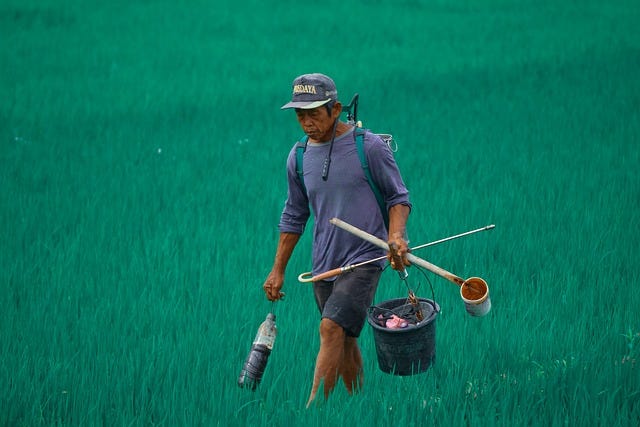 Hari Tani Nasional: Menjadi Petani Tidak Seindah Halusinasimu